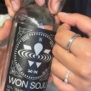 까사콩새 이미지