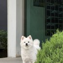 G.O.A.T | 무려 10년간 광안리로컬이 찾는 꽉 찬 한 끼의 일식집 다이도코로 광안리본점 후기(주차, 웨이팅)