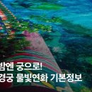 2021 문화가 있는 날 무료영화상영 이미지