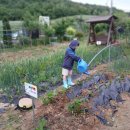 지후농장 이미지