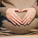 지방간의 진단과 관리 이미지