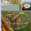 낚시타운 좌대낚시터 | 태안 안면도 명성 바다 좌대 낚시 서산 바다 좌대낚시터 추천