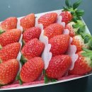 곡성-150 이미지