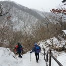 보문사 Daum카페