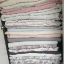 조은익스프레스 이미지