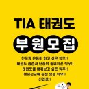TIA태권도 이미지