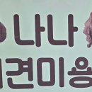 나나 애견 미용실 이미지