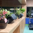 포텐터짐1205 이미지