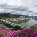 한국도로공사 서대구영업소 와룡산 연산홍 군락지 (2021,04,13 아이폰 X 파노라마 조금전) 이미지