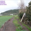 대정읍-7 이미지