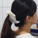 화이트B헤어