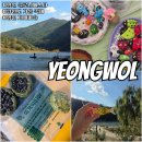 영농강원도농산물총판매장 | 강원도 가을 축제 영월 저세마을 글로닝페스타