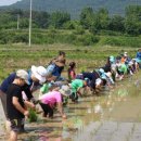 광주동초교충효분교 이미지