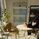 광주강아지분양 마마스미독 24시 광주봉선점 이미지