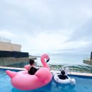 월정에비뉴풀빌라 | 제주 월정에비뉴 온수풀빌라 후기 #아기랑 #전용온수풀 #1박에100만원