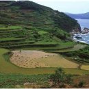 농가민박 이미지