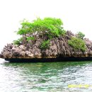 필리핀 코론섬 TWIN LAGOON 바다를 지나면서.. 이미지