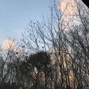 차항1리경로당 이미지