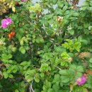 남해-306 이미지