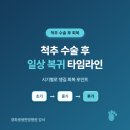 척추 수술 후 일상 복귀 타임라인, 시기별로 챙길 회복 포인트