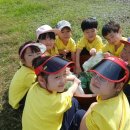 효동농장 이미지