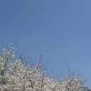 경기, 화성) 삼동소바 화성융건릉점