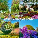 대전 유림공원 유성국화축제 주차