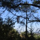 고촌마을회관 이미지