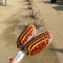 낮은 음자리 | 양평 숙소 후기 :: 독채 감성 숙소 낮은음자리 에어비앤비 후기