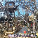 인천 강화도 톰아저씨 트리하우스 초등아이와 당일치기 여행
