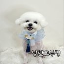 낭만그루밍 이미지