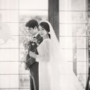 비니비치 이미지