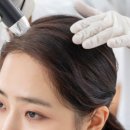 푸른가정의학과의원 네이버블로그