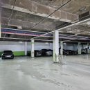 파인스골프연습장 이미지