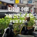 카페 버스킹(Cafe Busking) | 타이중 여행 가볼만한 곳 추천[일정 및 코스 추천]