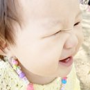 지온숲 이미지