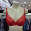 뉴 비너스 이미지