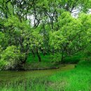 우포늪 생태 사진전 이미지