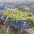 자연축산 이미지