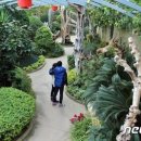 福드림
