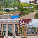 우림베이커리 | 🌳용인 자작나무숲 with 베툴라 베이커리 카페 자연 속 아이와 함께 힐링 산책 데이트🧑‍🤝‍🧑