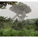 수권농장 이미지