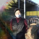 여장부(1농장) 이미지