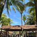 468 | 대한항공 KE467 / KE468 나트랑 출국 &amp; 입국 후기