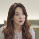 선보래 이미지