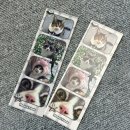 프렌즈팡 | 🐱 우리 꾸뚱이 얼굴로 스티커 만들었어요 — 뽀시락프렌즈 맞춤 스티커 제작 후기