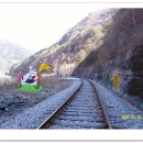 종량상회 옆 이미지