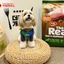 하림스튜디오 이미지