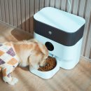 홈 펫 | 헤이홈 스마트 펫 자동급식기 고양이 사료 추천 후기 가족들이 더 좋아하는 건 안 비밀