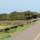 덕송부동산중개사무소 이미지